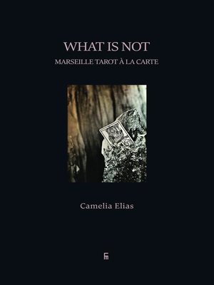 cover image of What is Not